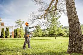 Reliable Prattville, AL Tree Services Solutions