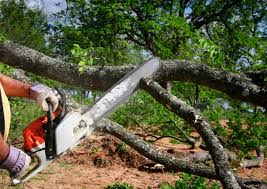 Best Leaf Removal  in Prattville, AL